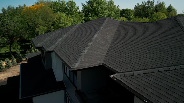 Best Roof Moss and Algae Removal  in Marion, TX